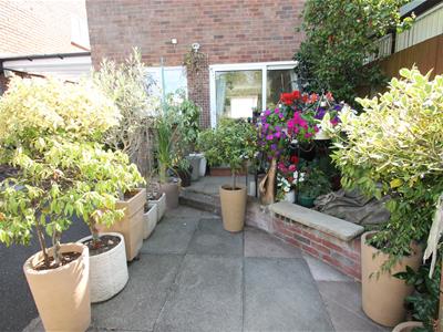 Picture 15